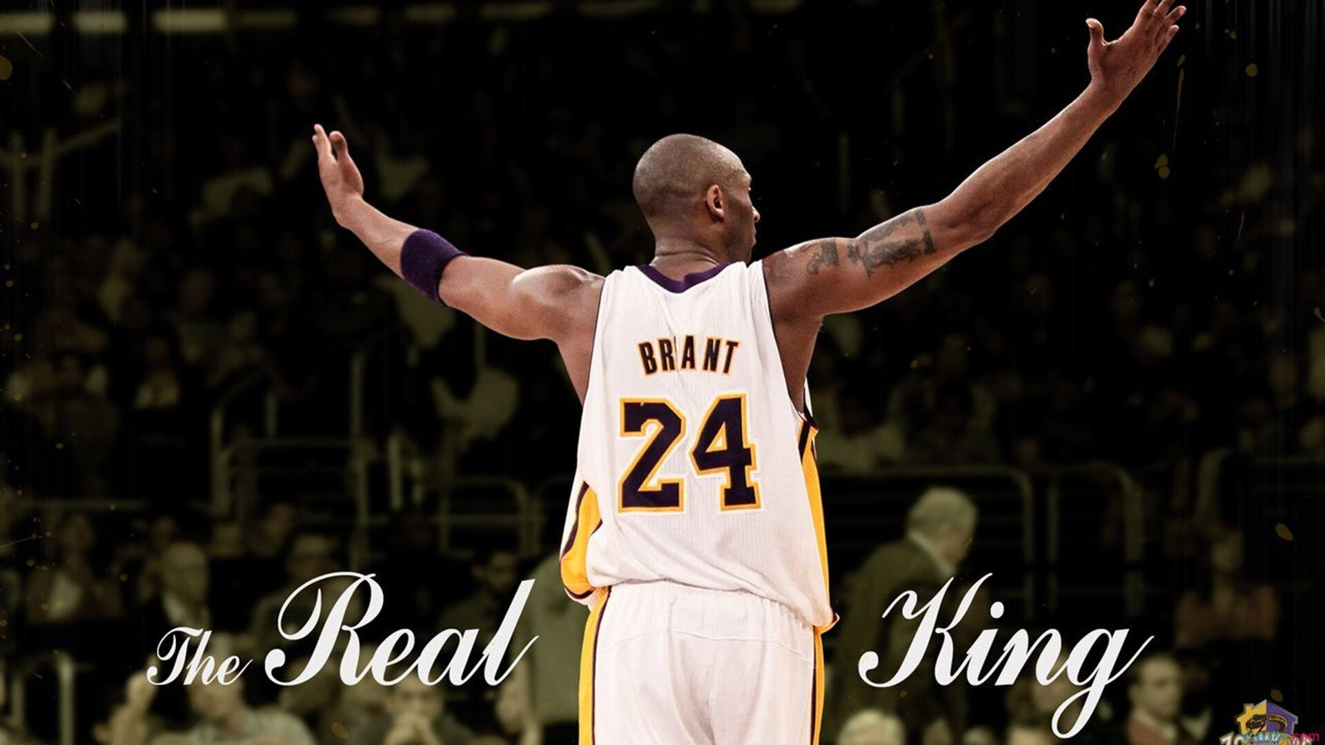 黄蜂管理层强调尊重年轻球员成长节奏，黄蜂队有哪些球员