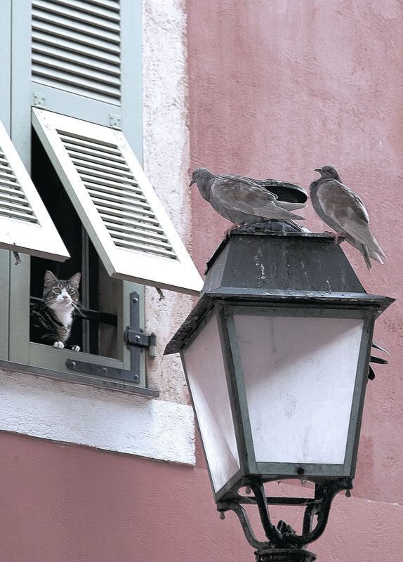 Kaiyun官方登录入口-_跑者之战：硬地、草地、红土，体验不同场地的技术比拼_，跑者zone