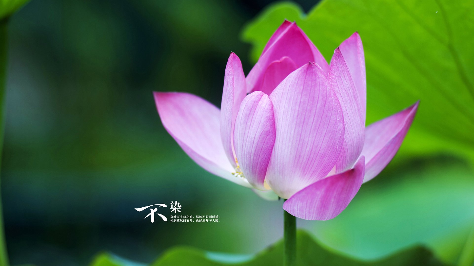 开云网页版-_运动员在赛场边的温暖瞬间感动人心_，运动员在赛场上的作文