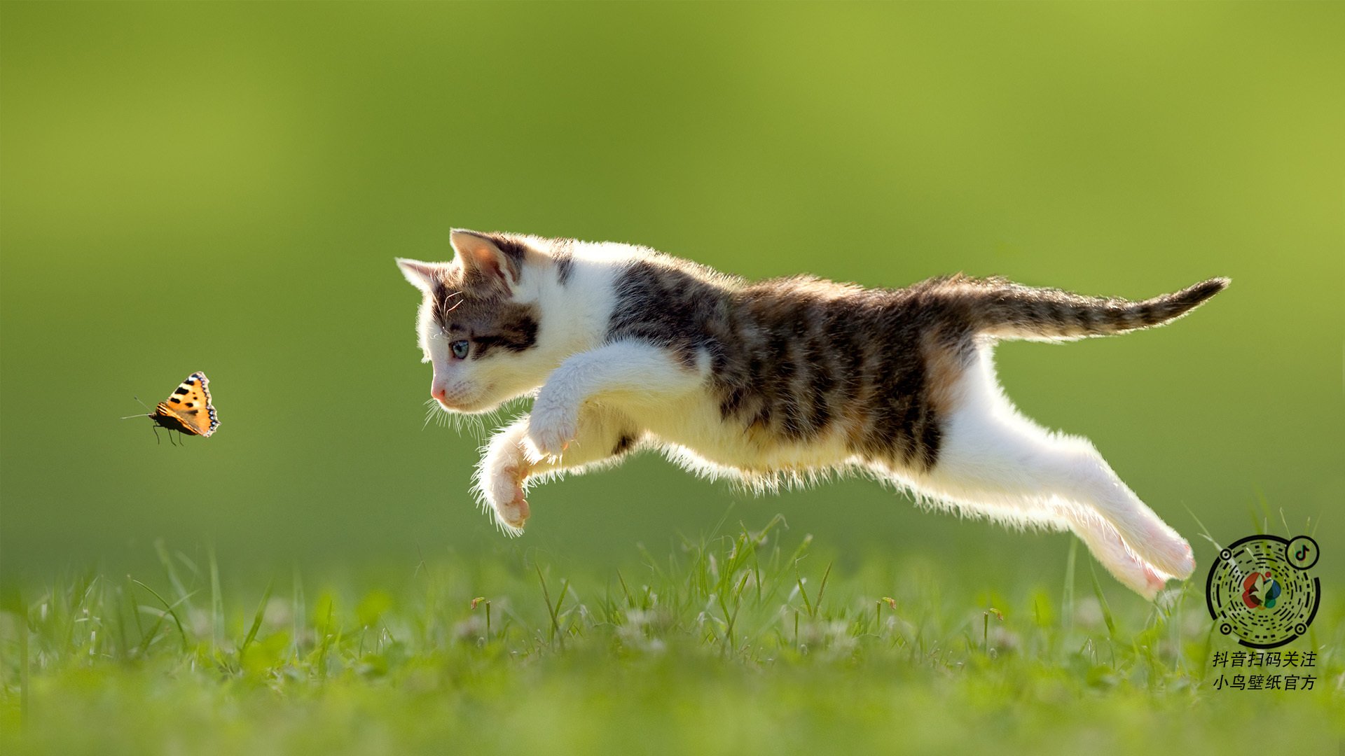 开云·体育全站登录地址-_骑士年轻核心持续突破，彰显实力_，骑士17